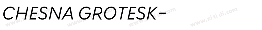 CHESNA GROTESK字体转换